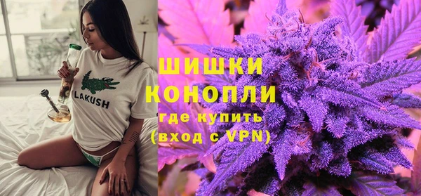 шишки Алзамай